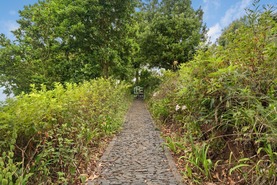 Quinta - São Roque, Funchal, Ilha da Madeira - Miniatura: 74/85