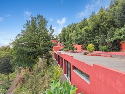 Quinta - São Roque, Funchal, Ilha da Madeira - Miniatura: 75/85