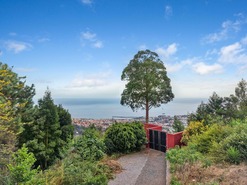 Quinta - São Roque, Funchal, Ilha da Madeira - Miniatura: 80/85