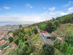 Quinta - São Roque, Funchal, Ilha da Madeira - Miniatura: 84/85