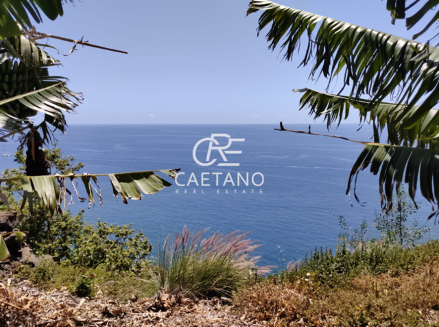 Terreno Rstico T0 - So Martinho, Funchal, Ilha da Madeira - Imagem grande