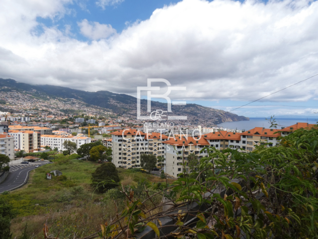 Moradia T3 - So Martinho, Funchal, Ilha da Madeira - Imagem grande