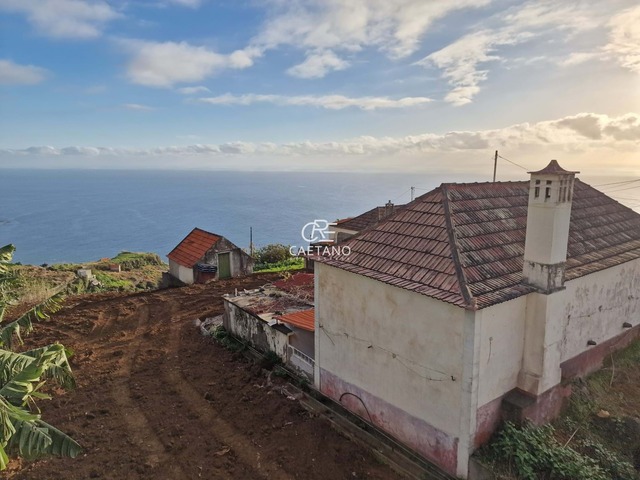 Terreno Rstico T0 - Estreito da Calheta, Calheta (Madeira), Ilha da Madeira - Imagem grande