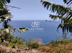 Terreno Rstico T0 - So Martinho, Funchal, Ilha da Madeira