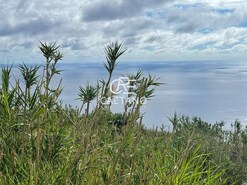 Terreno Rstico T0 - Tabua, Ribeira Brava, Ilha da Madeira