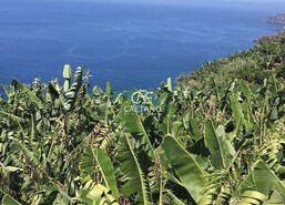 Terreno Rstico T0 - Ribeira Brava, Ribeira Brava, Ilha da Madeira - Miniatura: 1/4