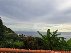 Terreno Rstico T0 - Arco da Calheta, Calheta (Madeira), Ilha da Madeira - Miniatura: 2/30