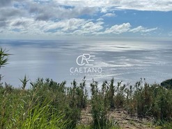 Terreno Rstico T0 - Tabua, Ribeira Brava, Ilha da Madeira - Miniatura: 1/1