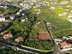 Terreno Rstico T0 - Arco da Calheta, Calheta (Madeira), Ilha da Madeira - Miniatura: 13/30