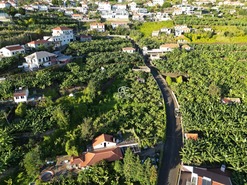 Terreno Rstico T0 - Arco da Calheta, Calheta (Madeira), Ilha da Madeira - Miniatura: 20/30