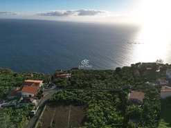 Terreno Rstico T0 - Arco da Calheta, Calheta (Madeira), Ilha da Madeira - Miniatura: 25/30