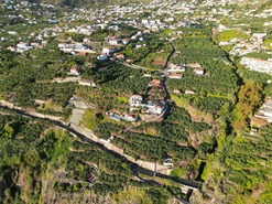 Terreno Rstico T0 - Arco da Calheta, Calheta (Madeira), Ilha da Madeira - Miniatura: 27/30