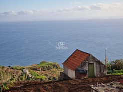 Terreno Rstico T0 - Estreito da Calheta, Calheta (Madeira), Ilha da Madeira - Miniatura: 2/13