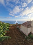 Terreno Rstico T0 - Estreito da Calheta, Calheta (Madeira), Ilha da Madeira - Miniatura: 6/13