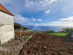 Terreno Rstico T0 - Estreito da Calheta, Calheta (Madeira), Ilha da Madeira - Miniatura: 10/13