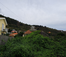 Terreno Rstico T0 - Arco da Calheta, Calheta (Madeira), Ilha da Madeira - Miniatura: 13/18