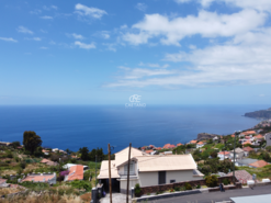 Terreno Rstico T0 - Ribeira Brava, Ribeira Brava, Ilha da Madeira - Miniatura: 4/16