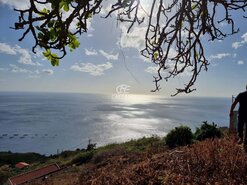 Terreno Rstico T0 - Ribeira Brava, Ribeira Brava, Ilha da Madeira - Miniatura: 7/14