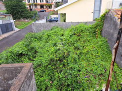 Moradia T0 - Arco da Calheta, Calheta (Madeira), Ilha da Madeira - Miniatura: 1/15