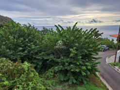 Moradia T0 - Arco da Calheta, Calheta (Madeira), Ilha da Madeira - Miniatura: 2/15