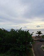 Moradia T0 - Arco da Calheta, Calheta (Madeira), Ilha da Madeira - Miniatura: 5/15