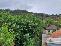 Moradia T0 - Arco da Calheta, Calheta (Madeira), Ilha da Madeira - Miniatura: 11/15