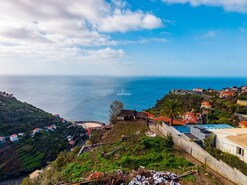 Terreno Rstico T0 - Calheta, Calheta, Ilha de S. Jorge - Miniatura: 12/14