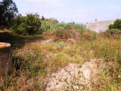 Terreno R�stico - S�o Martinho do Bispo, Coimbra, Coimbra