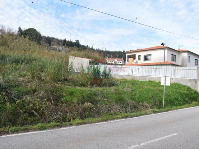Quinta - Cernache, Coimbra, Coimbra - Imagem grande