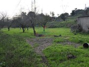 Quinta - Cernache, Coimbra, Coimbra - Miniatura: 2/9