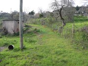 Quinta - Cernache, Coimbra, Coimbra - Miniatura: 6/9