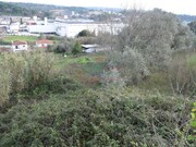 Quinta - Cernache, Coimbra, Coimbra - Miniatura: 9/9