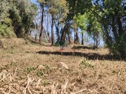 Terreno R�stico - Assafarge, Coimbra, Coimbra - Miniatura: 1/9