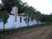 Quinta T4 - Tocha, Cantanhede, Coimbra - Miniatura: 1/9
