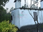 Quinta T4 - Tocha, Cantanhede, Coimbra - Miniatura: 3/9