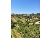 Moradia T4 - Eiras, Coimbra, Coimbra - Miniatura: 3/8