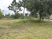Terreno Urbano - S�o Silvestre, Coimbra, Coimbra - Miniatura: 5/9