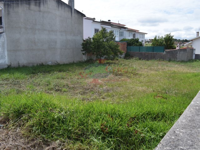 Terreno Urbano - S�o Silvestre, Coimbra, Coimbra - Imagem grande