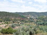 Quinta T2 - Lavegadas, Vila Nova de Poiares, Coimbra - Miniatura: 2/9