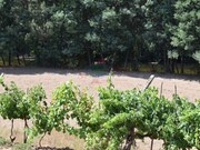 Quinta T2 - Lavegadas, Vila Nova de Poiares, Coimbra - Miniatura: 3/9