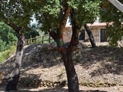 Quinta T2 - Lavegadas, Vila Nova de Poiares, Coimbra - Miniatura: 5/9