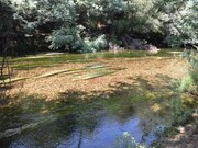 Quinta T2 - Lavegadas, Vila Nova de Poiares, Coimbra - Miniatura: 8/9