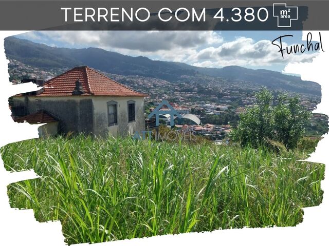 Terreno Rústico - Santo António, Funchal, Ilha da Madeira - Imagem grande