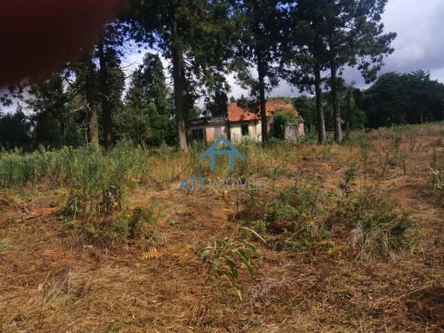 Quinta - Santo António da Serra, Santa Cruz, Ilha da Madeira - Imagem grande