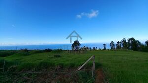 Terreno Rstico - Ponta do Pargo, Calheta (Madeira), Ilha da Madeira