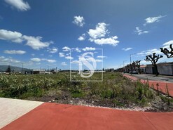 Terreno Rstico T0 - Rosto de Co (Livramento), Ponta Delgada, Ilha de S.Miguel - Miniatura: 4/16