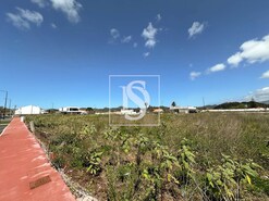 Terreno Rstico T0 - Rosto de Co (Livramento), Ponta Delgada, Ilha de S.Miguel - Miniatura: 14/16