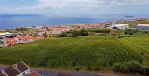 Terreno R�stico - Ponta Gar�a, Vila Franca do Campo, Ilha de S.Miguel - Miniatura: 3/10