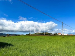 Terreno Rstico T0 - Ribeirinha, Ribeira Grande, Ilha de S.Miguel - Miniatura: 3/11