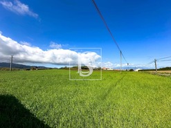 Terreno Rstico T0 - Ribeirinha, Ribeira Grande, Ilha de S.Miguel - Miniatura: 10/11